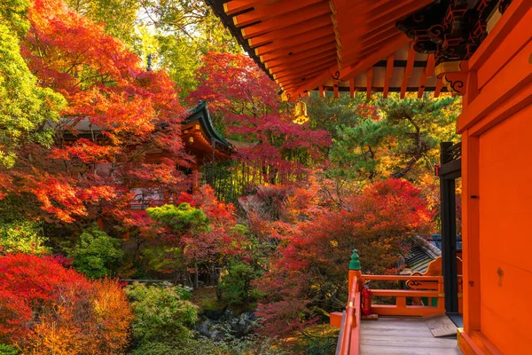 Japonský Podzimní Obraz Bishamonův Chrám Kjótském Městě Japonsko — Stock fotografie