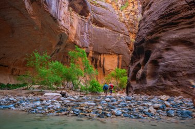 Zion Ulusal Parkı 'ndaki kanyonun muhteşem manzarası, ABD' deki Dar