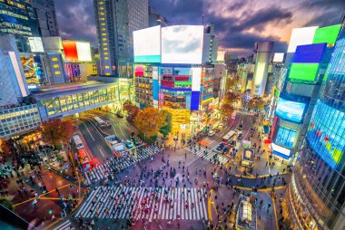 Shibuya Tokyo, Japonya 'da alacakaranlıkta tepeden bakıyor.