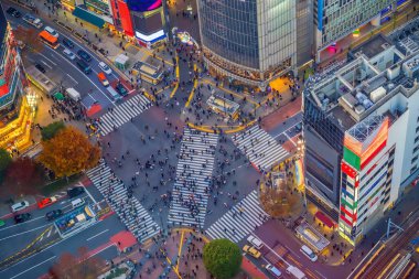 Shibuya gece Tokyo, Japonya 'dan karşıya geçiyor.
