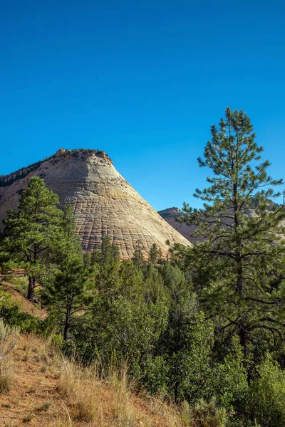 Mountain Famous Zion National Park Utah Usa — Stock Photo, Image
