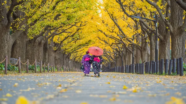 日本东京 穿着传统服装的亚洲游客一排排地走在黄银杏树上 — 图库照片