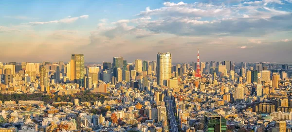 Top Uitzicht Tokyo Stad Skyline Bij Zonsondergang Japan — Stockfoto