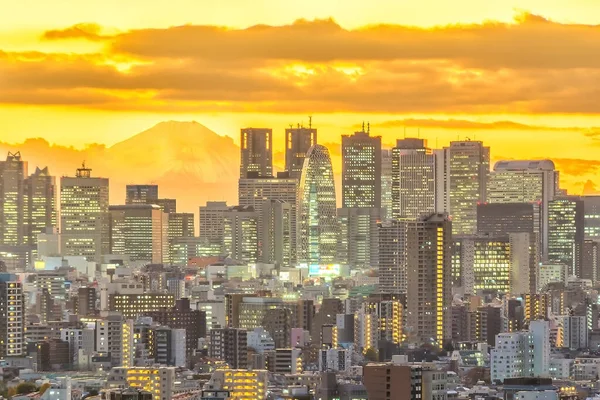 Tokyo Şehrinin Silueti Shinjuku Bölgesi Fuji Dağı Nın Japonya Günbatımının — Stok fotoğraf