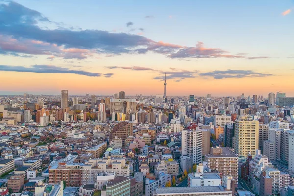 Top Uitzicht Tokyo Stad Skyline Shinjuku Shibuya Gebied Met Prachtige — Stockfoto
