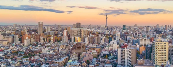 Top Uitzicht Tokyo Stad Skyline Shinjuku Gebied Met Prachtige Zonsondergang — Stockfoto