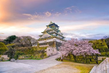 Gün batımında Japonya 'da Sakura' nın tam çiçekleriyle Osaka Kalesi