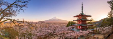 Japonya 'da gün batımında kiraz çiçekli Fuji Dağı ve Chureito pagoda (sakura)