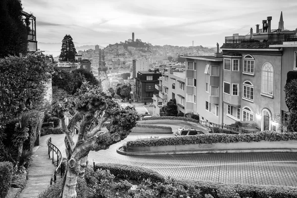 Ünlü lombard street san Francisco — Stok fotoğraf