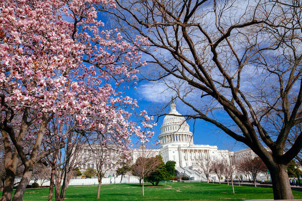  US Capitol Building 