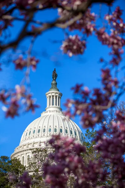 US Capitol Building — Stock Photo, Image