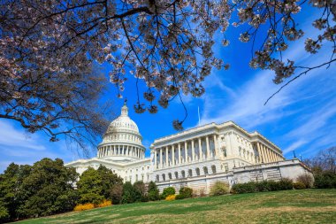 Bize Capitol Binası - Washington Dc Amerika Birleşik Devletleri