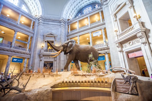 Museo Nazionale di Storia Nazionale — Foto Stock