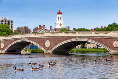 John W. Weeks Bridge and clock tower over Charles River in Harva clipart