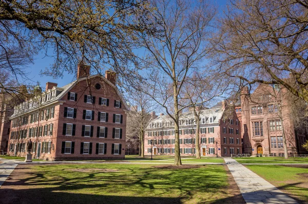 春の青い空でイェール大学の建物 — ストック写真