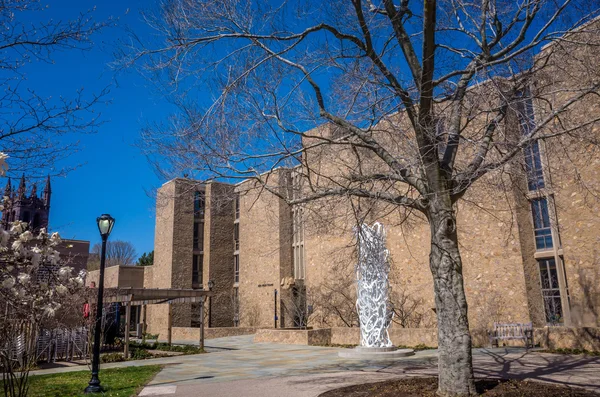 春の青い空でイェール大学の建物 — ストック写真