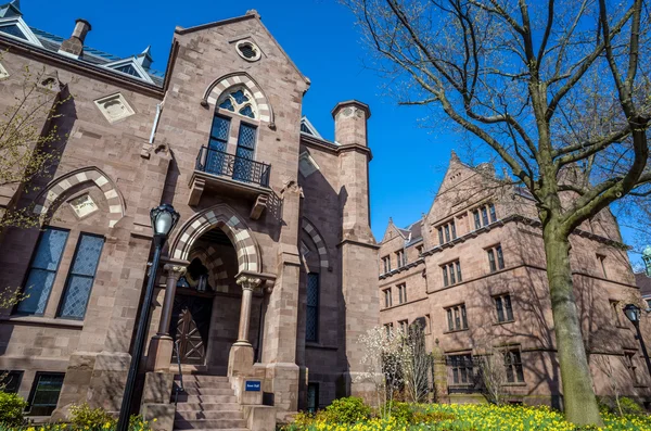 Yale university buildings in spring blue sky — Stock Photo, Image