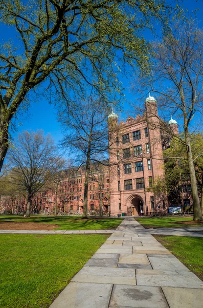 春の青い空でイェール大学の建物 — ストック写真