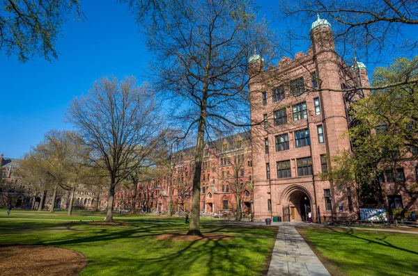 春の青い空でイェール大学の建物 — ストック写真