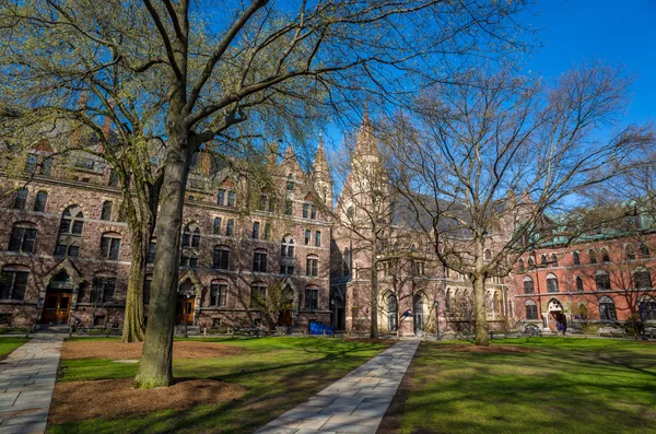 Yale universitetsbygninger på vår blå himmel – stockfoto