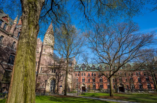 Yale university buildings in spring blue sky