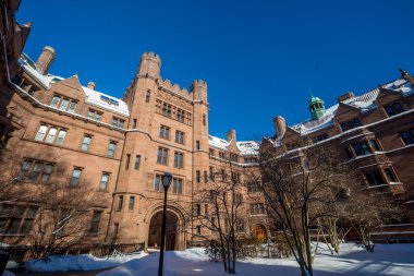 Yale Üniversitesi kış kar fırtınası Linus sonra binalarda