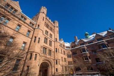 Yale Üniversitesi kış kar fırtınası Linus sonra binalarda