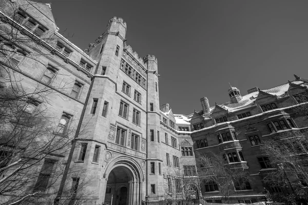 Yale edificios universitarios en invierno después de la tormenta de nieve Linus —  Fotos de Stock