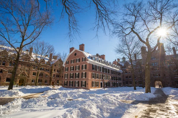 Yale edificios universitarios en invierno después de la tormenta de nieve Linus — Foto de Stock