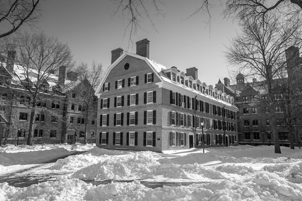 Yale edificios universitarios en invierno después de la tormenta de nieve Linus —  Fotos de Stock