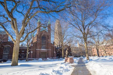 Yale Üniversitesi kış kar fırtınası Linus sonra binalarda