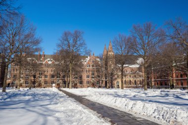 Yale Üniversitesi kış kar fırtınası Linus sonra binalarda