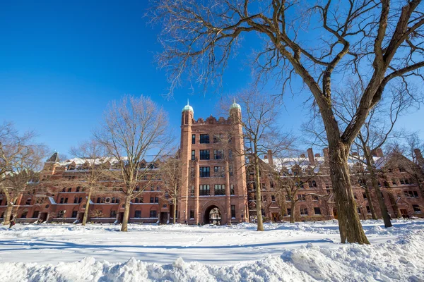 Yale university budynków zimą po burzy śnieżnej Linus — Zdjęcie stockowe