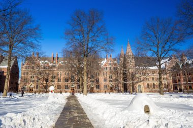 Yale Üniversitesi kış kar fırtınası Linus sonra binalarda