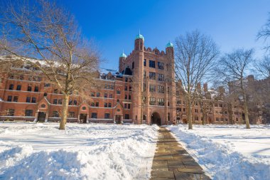 Yale Üniversitesi kış kar fırtınası Linus sonra binalarda