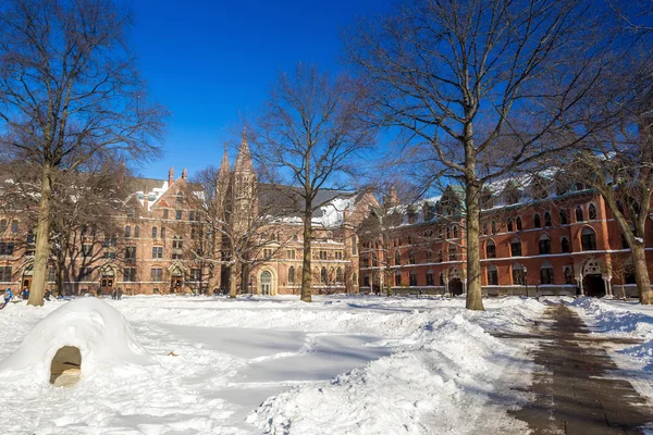 Yale university buildings in winter after snow storm Linus