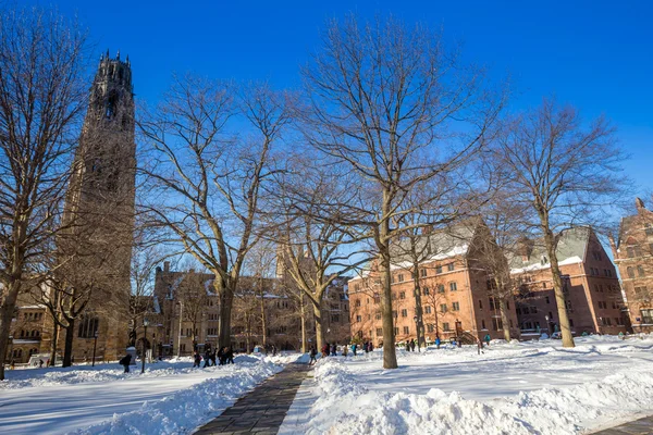 Yale Üniversitesi kış kar fırtınası Linus sonra binalarda — Stok fotoğraf