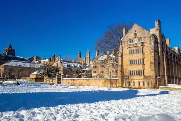 Bâtiments universitaires de Yale en hiver après la tempête de neige Linus — Photo