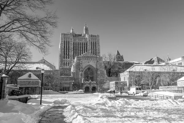 Yale edificios universitarios en invierno después de la tormenta de nieve Linus —  Fotos de Stock