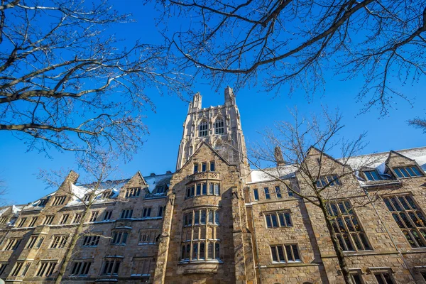 Bâtiments universitaires de Yale en hiver après la tempête de neige Linus — Photo