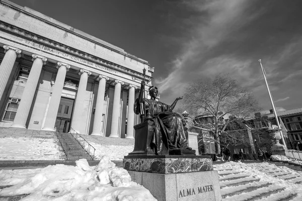 Columbia-Universiteit — Stockfoto