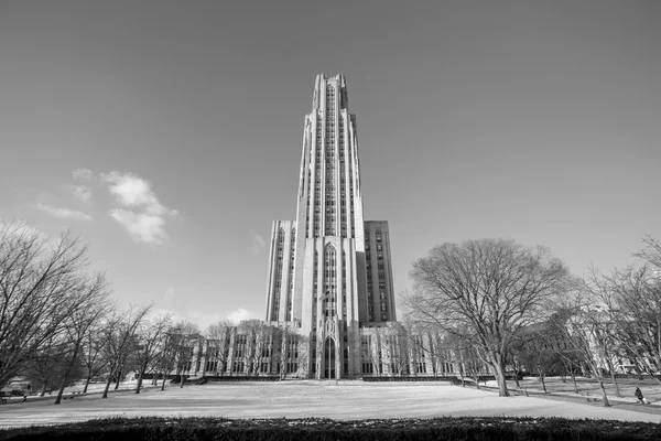 University of Pittsburgh — Stock Photo, Image