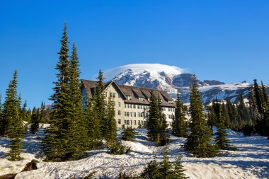  Mount Rainier 