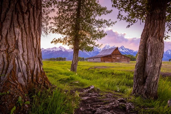 Grand Teton Mountains, Wyoming. — стокове фото