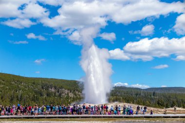 Yellowstone Natio içinde patlayan eski sadık izlerken turist