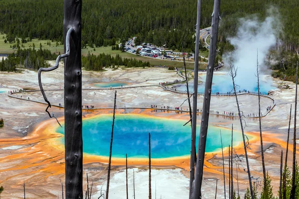 Yellowstone grand prismatic spring — Stock Photo, Image