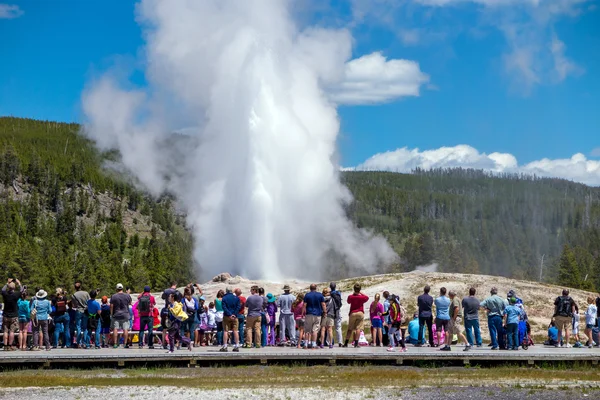 Tourists watching the Old Faithful erupting in Yellowstone Natio — Stock Photo, Image