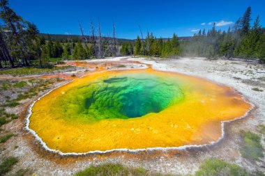 Morning Glory havuzu Yellowstone Milli Parkı, Wyoming