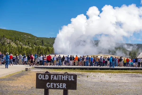 Turisti che guardano i Vecchi Fedeli eruttare a Yellowstone Natio — Foto Stock