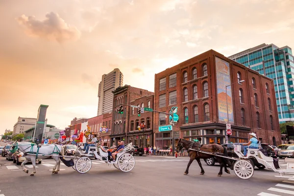 O Partenon Nashville Tennessee — Fotografia de Stock